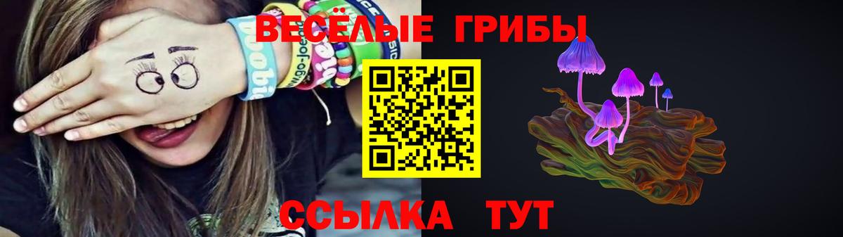 Псилоцибиновые грибы прущие грибы Муром